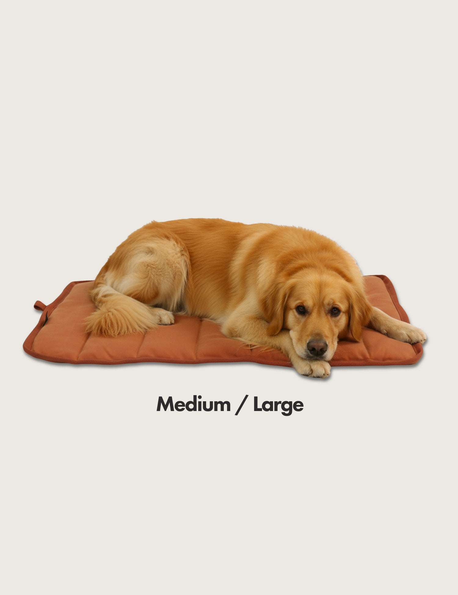 Golden retriever dog lying on a brown Waxed canvas pet bed with 'Medium / Large' label on a beige background