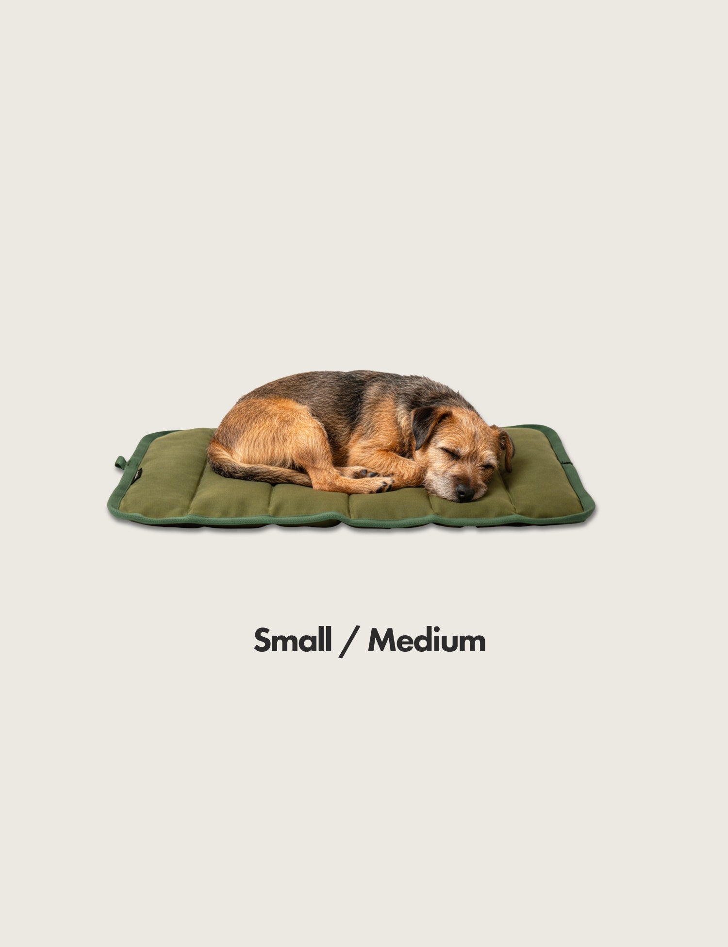 Sleeping Border terrier Dog lying on a waxed canvas green pet mat Quilted with NZ sheeps wool with 'small / medium text on a beige background