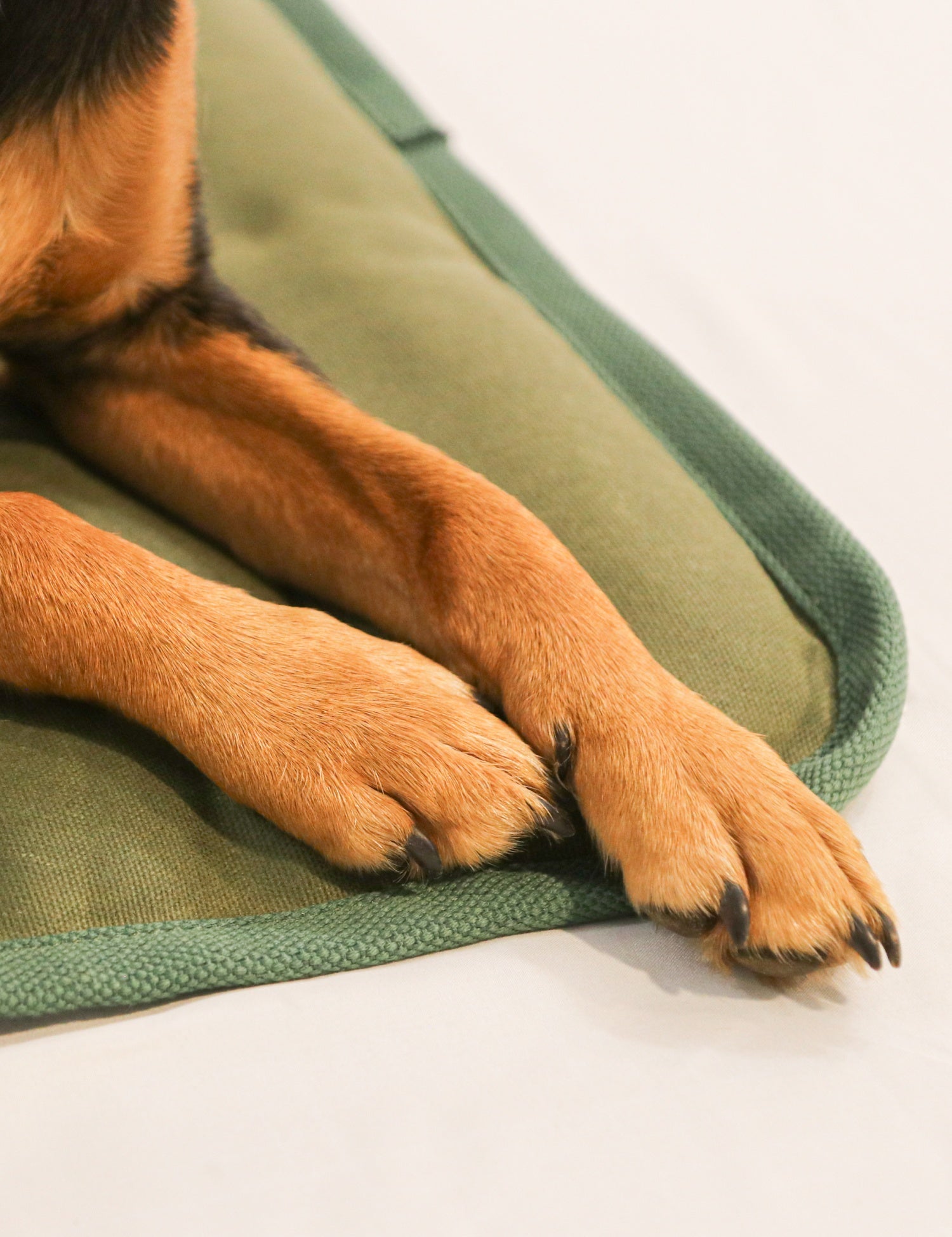 Barnaby Good Dog Mat - Waitakere