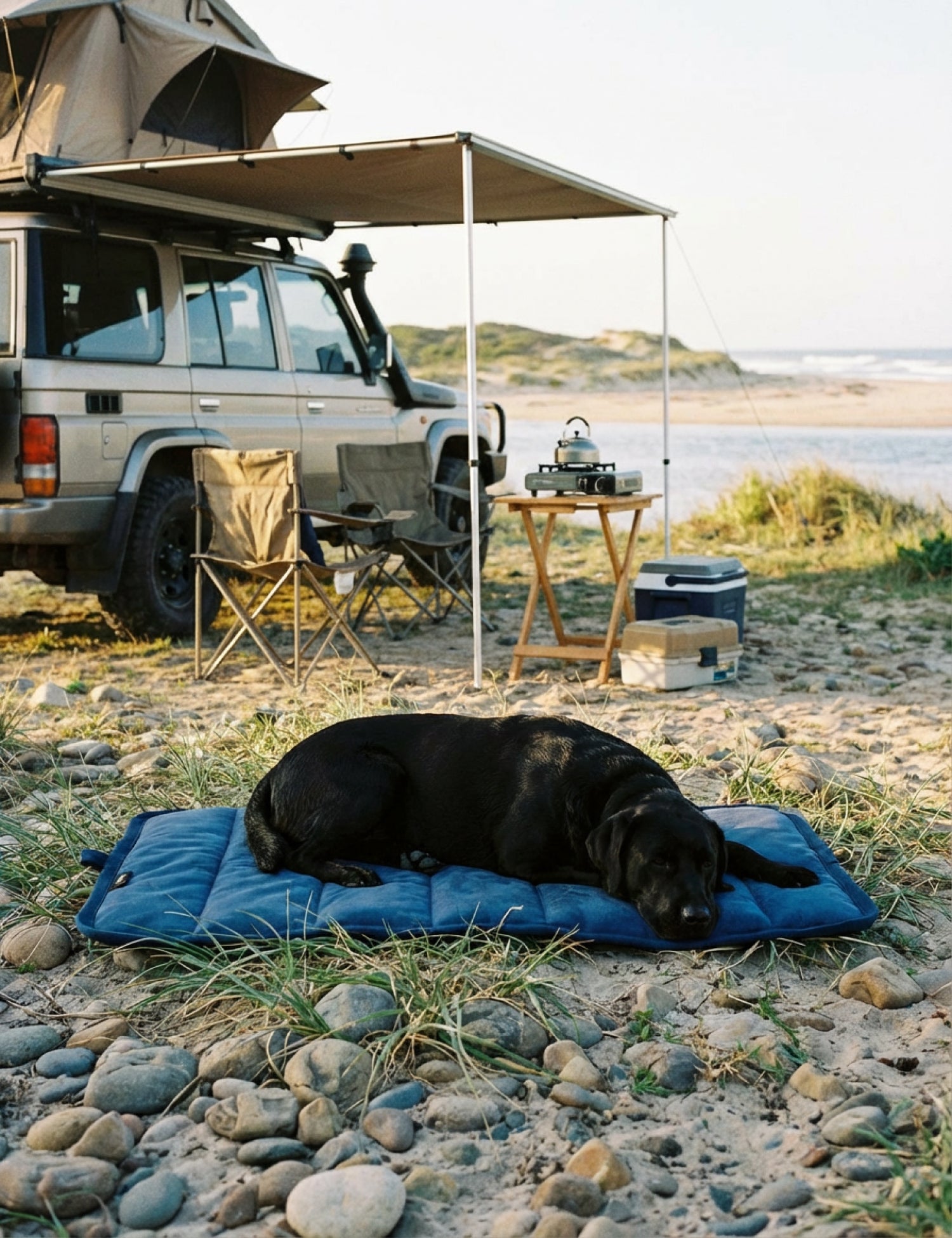 Water-Resistant Canvas Good Dog Mat – Wakatipu Blue