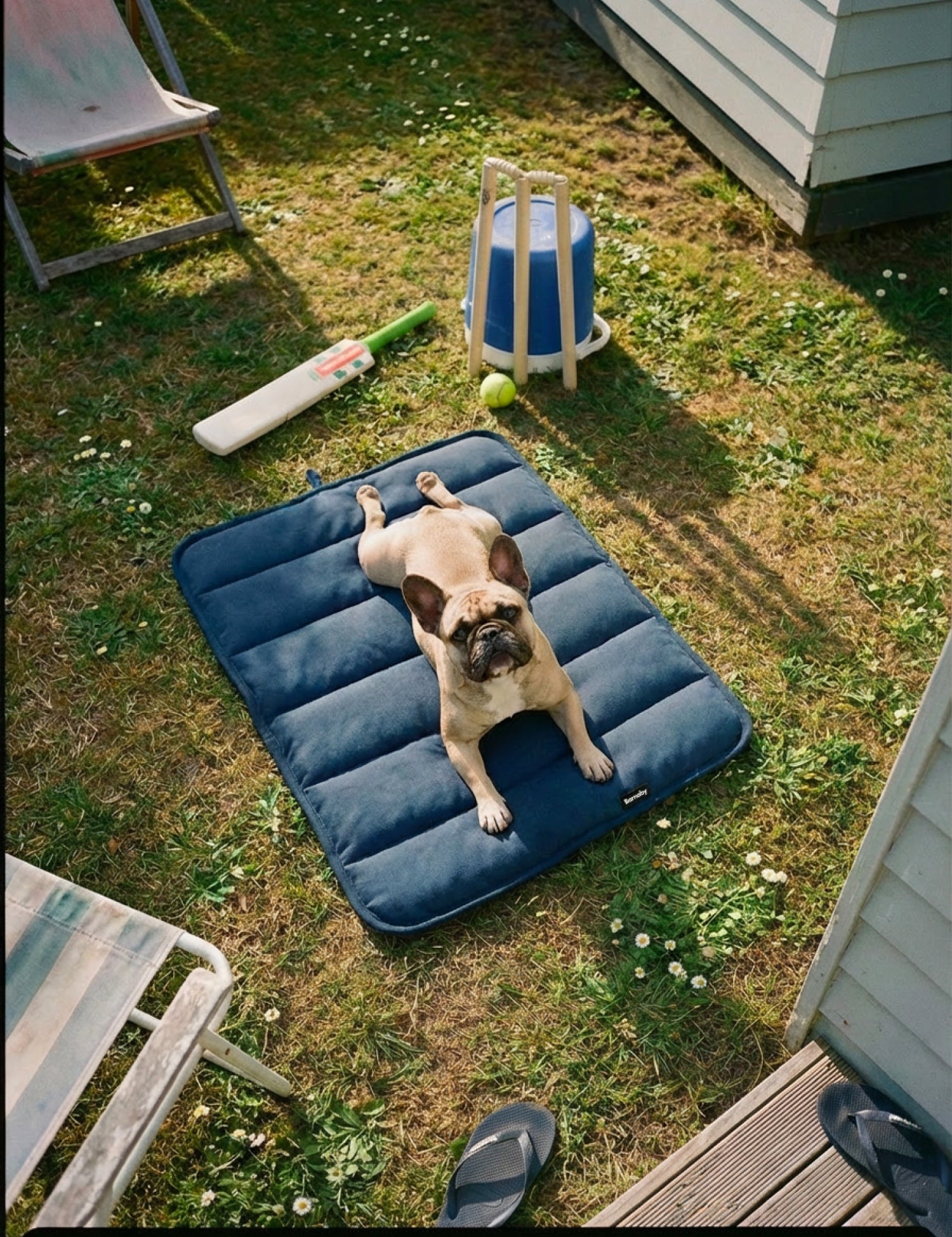 Water-Resistant Canvas Good Dog Mat – Wakatipu Blue