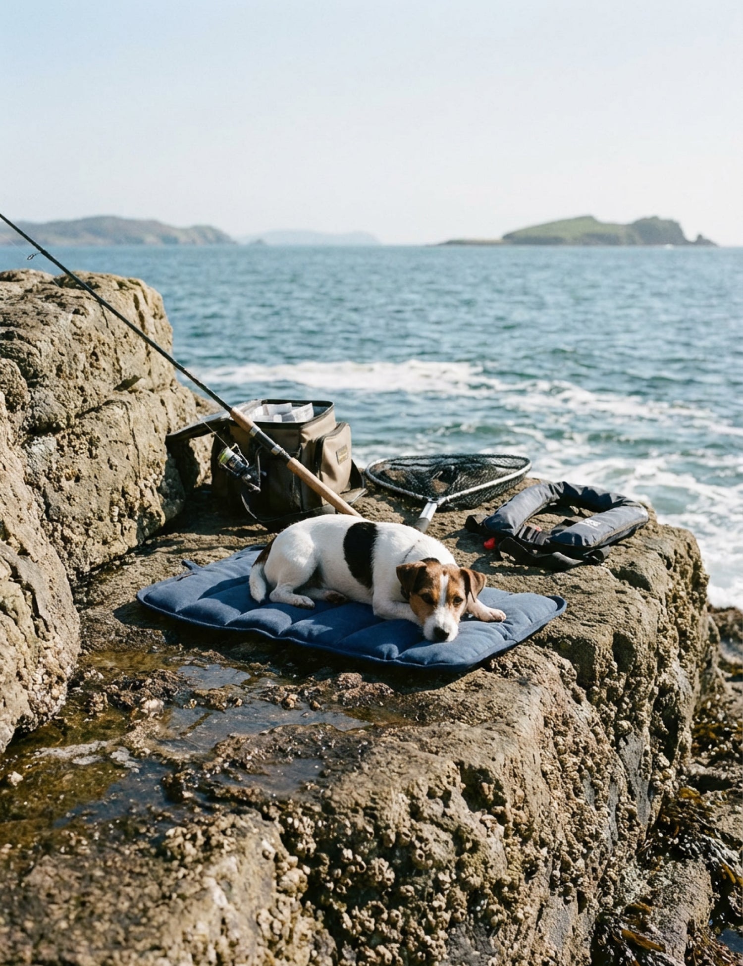 Water-Resistant Canvas Good Dog Mat – Wakatipu Blue