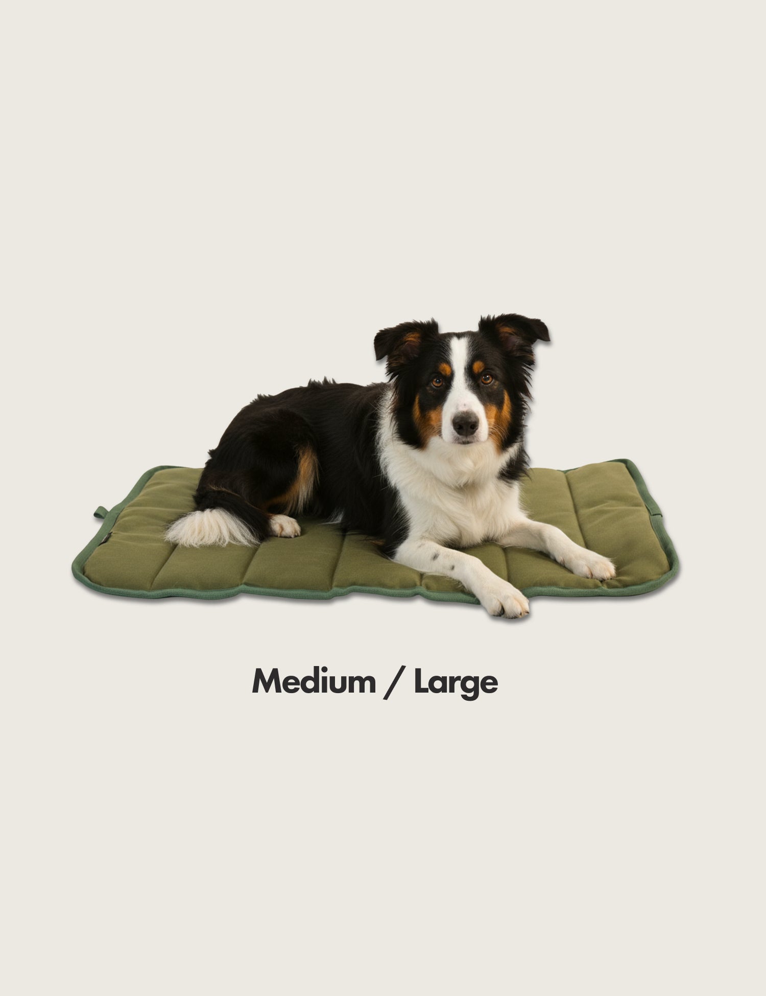 Tri Colour Border Collie Dog lying on a waxed canvas green pet mat Quilted with NZ sheeps wool with 'Medium / Large' text on a beige background
