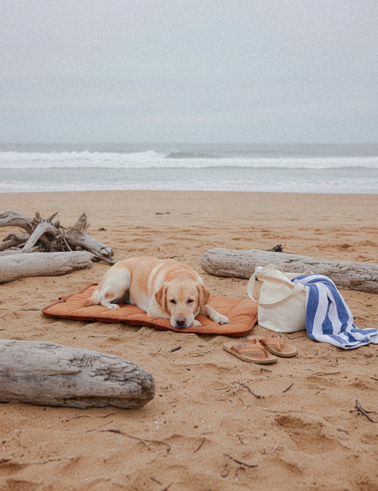 Water-Resistant Canvas Good Dog Mat – Bracken Orange