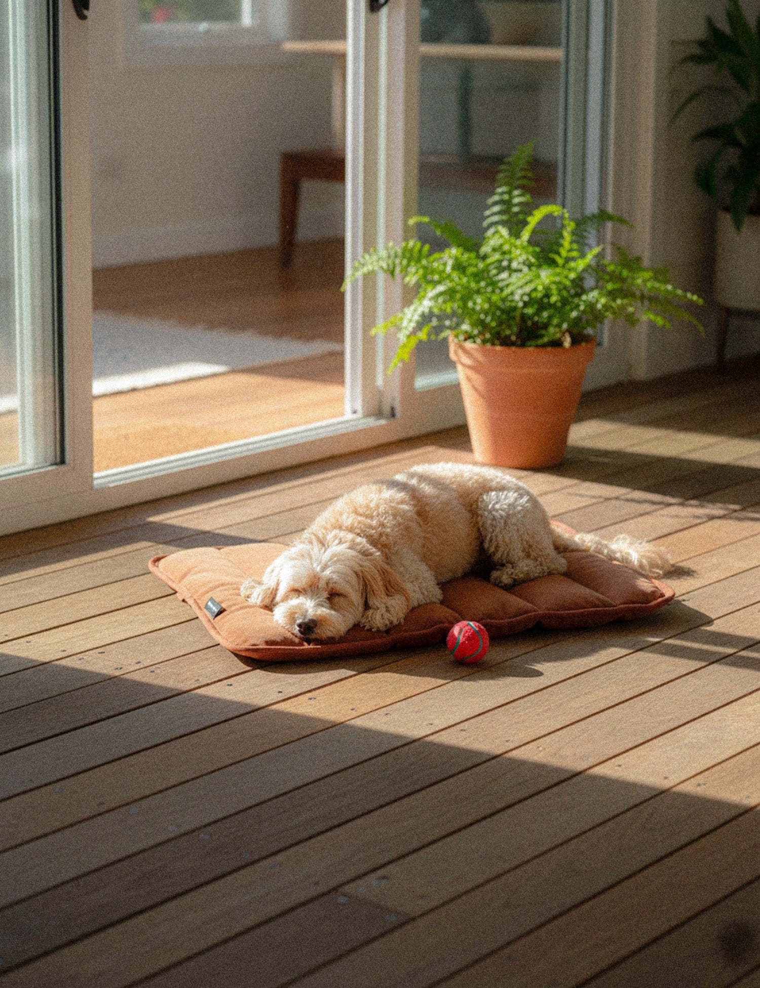 Barnaby Good Dog Mat - Bracken