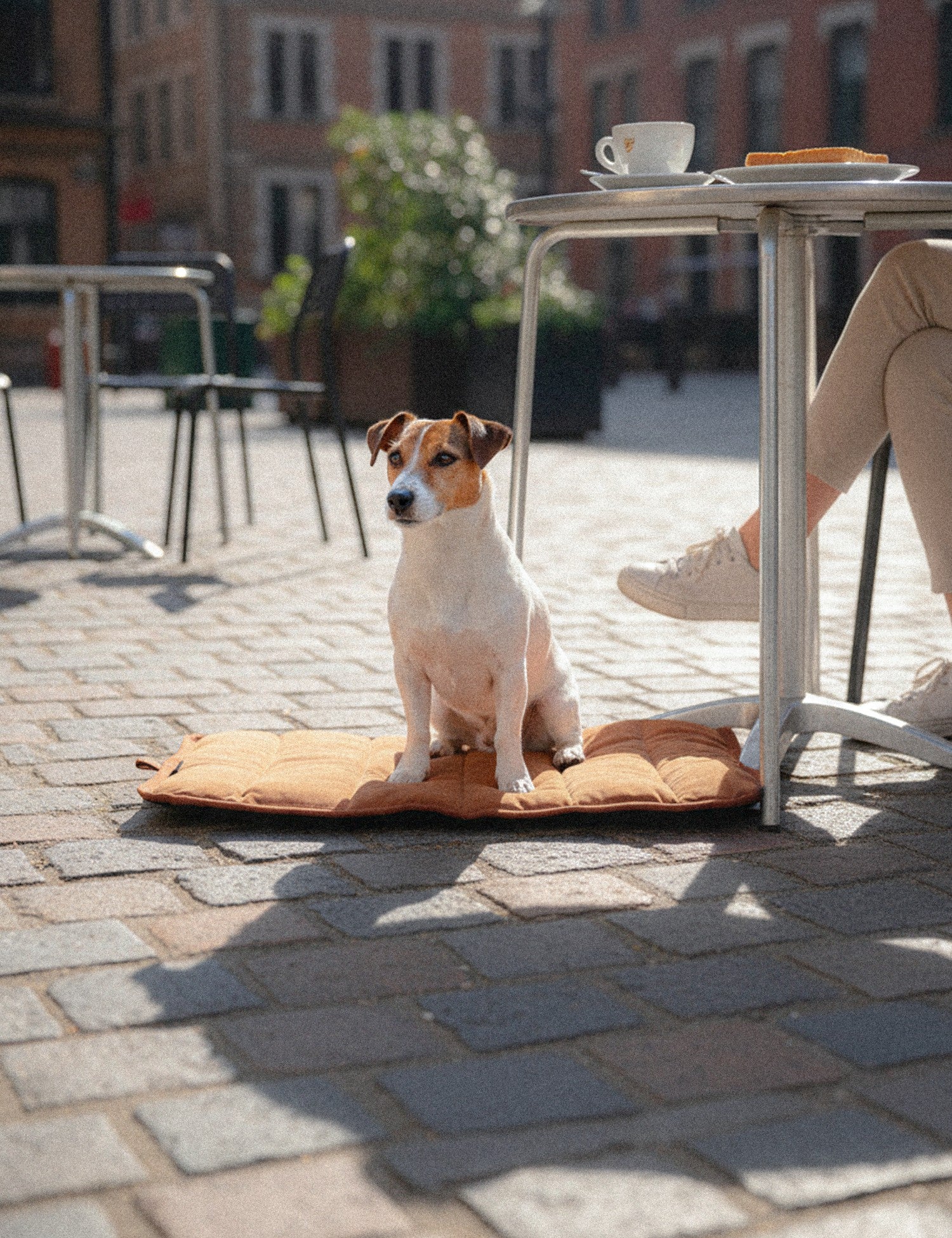 Barnaby Good Dog Mat - Bracken