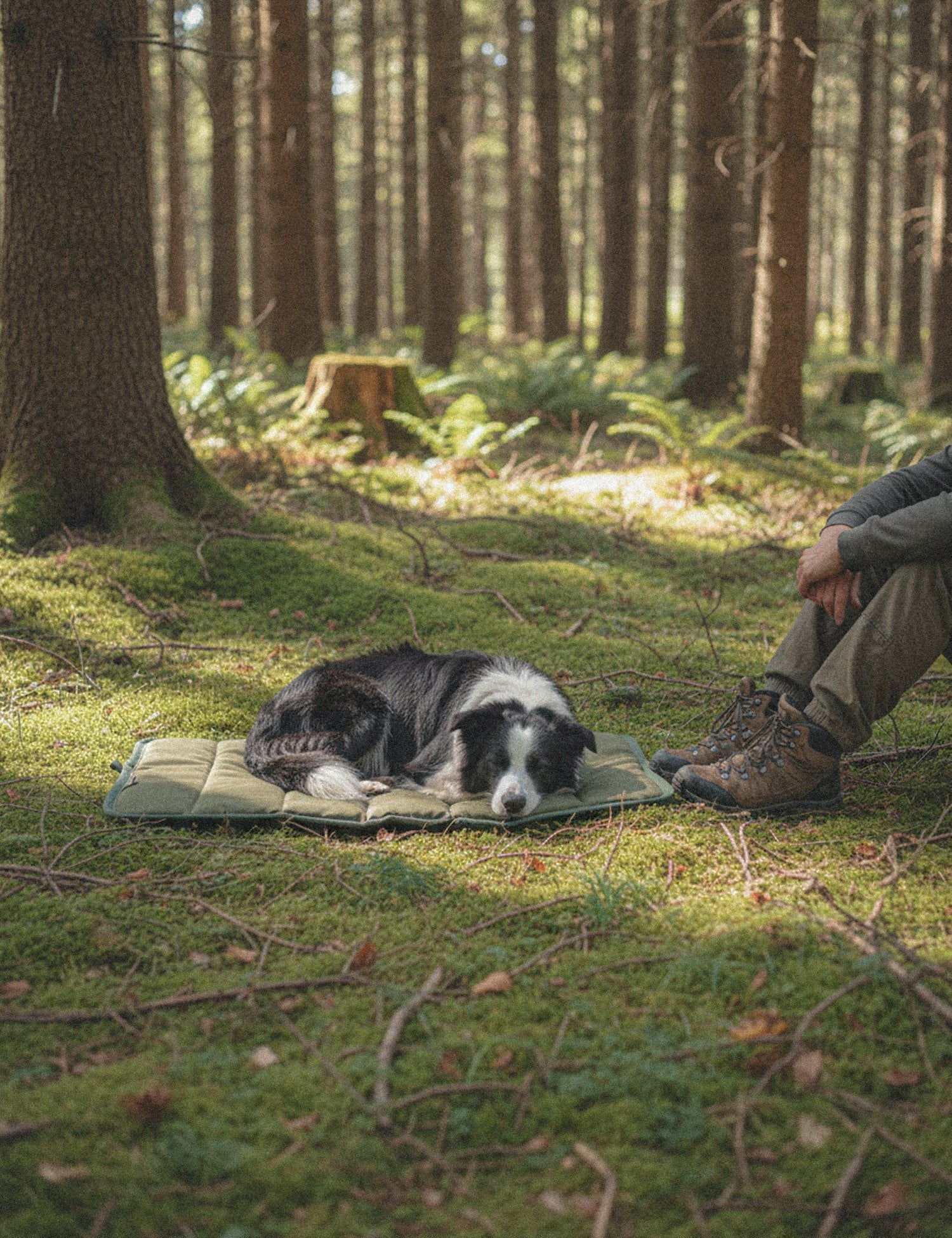 Dog lying on a mat in the forest with a person sitting nearby.