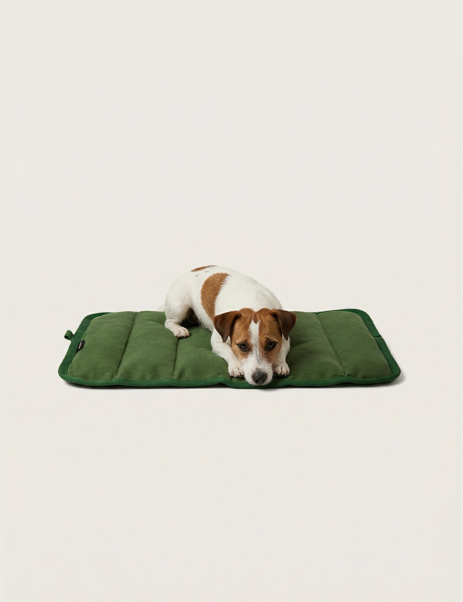 Water-Resistant Canvas Good Dog Mat – Karamea Green