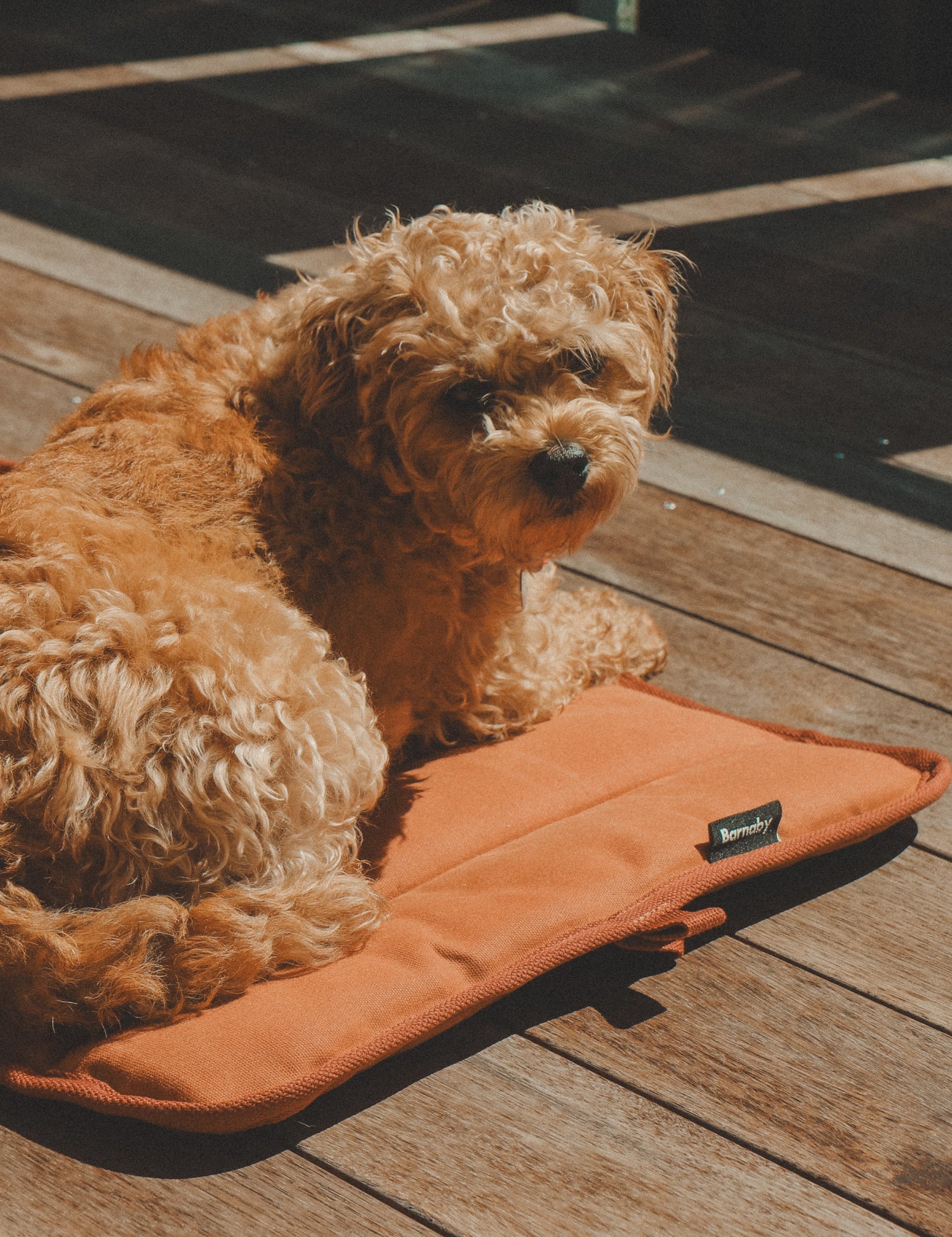 Water - Resistant Canvas Good Dog Mat – Bracken Orange - Barnaby Outdoor
