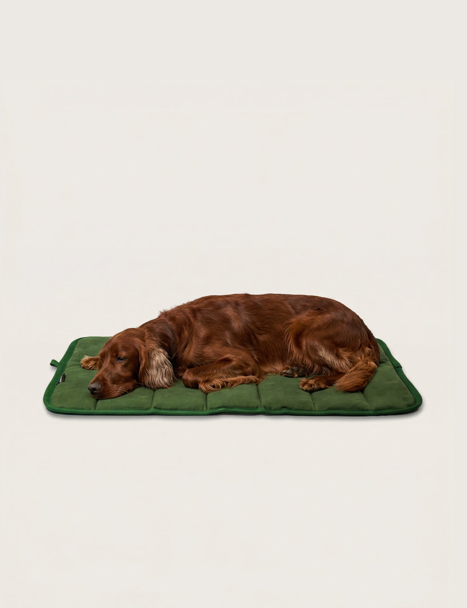 Water - Resistant Canvas Good Dog Mat – Karamea Green - Barnaby Outdoor