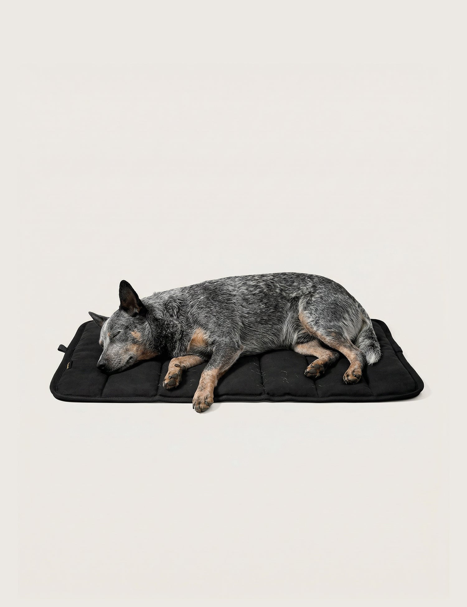 Water - Resistant Canvas Good Dog Mat – Muriwai Black - Barnaby Outdoor