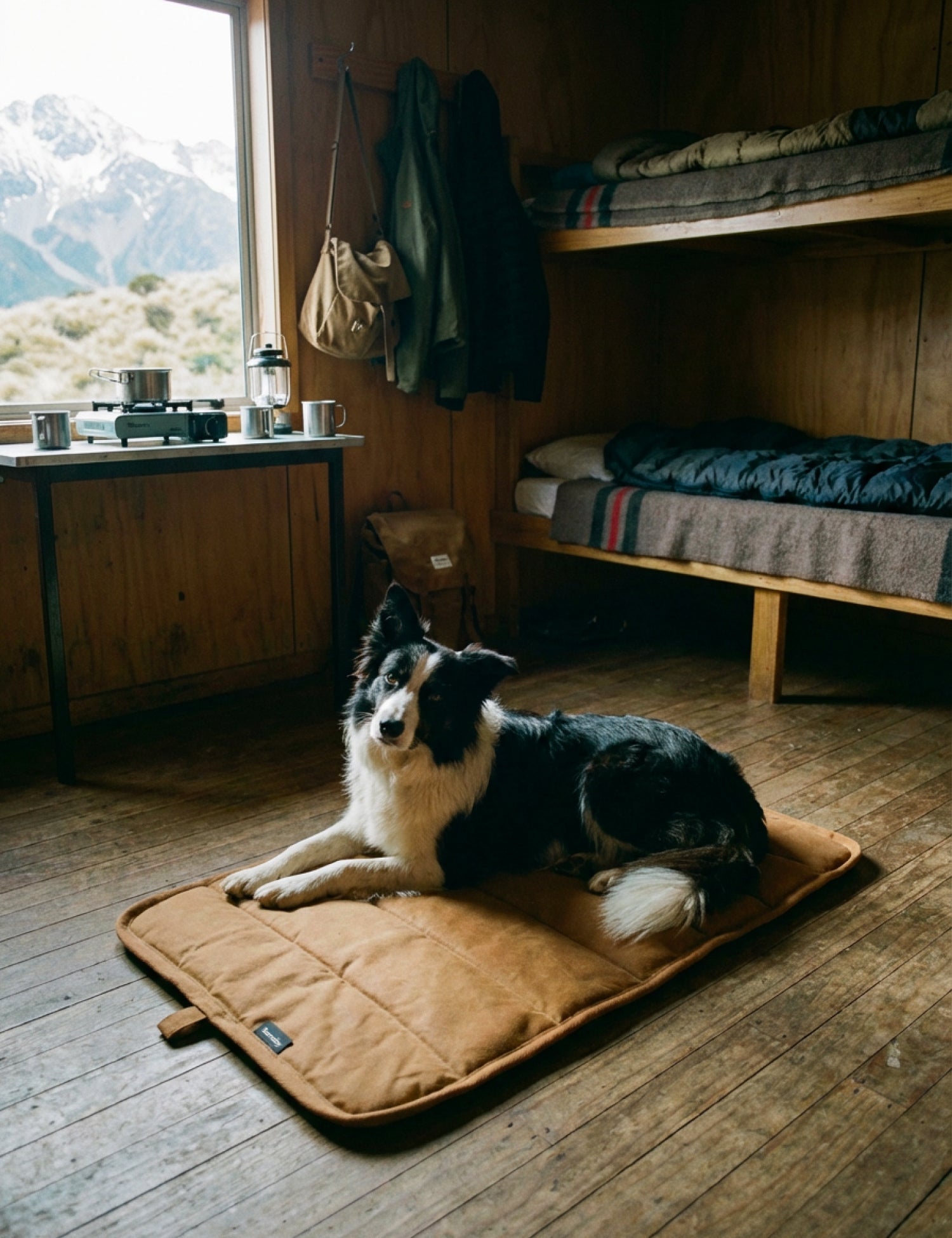 Water - Resistant Canvas Good Dog Mat – Tussock Brown - Barnaby Outdoor