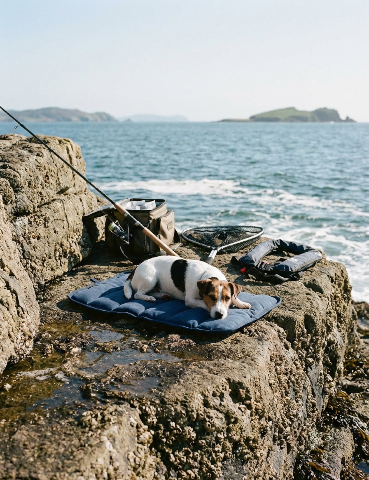 Water - Resistant Canvas Good Dog Mat – Wakatipu Blue - Barnaby Outdoor