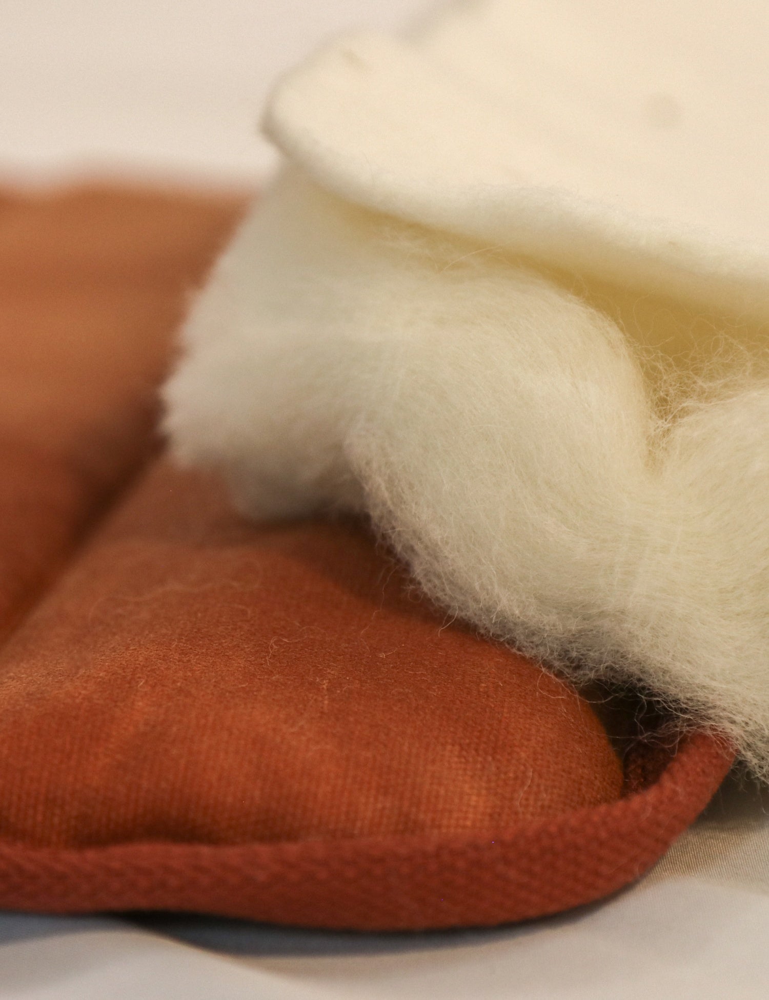 Wool vs Foam Dog Mats: An Honest Comparison