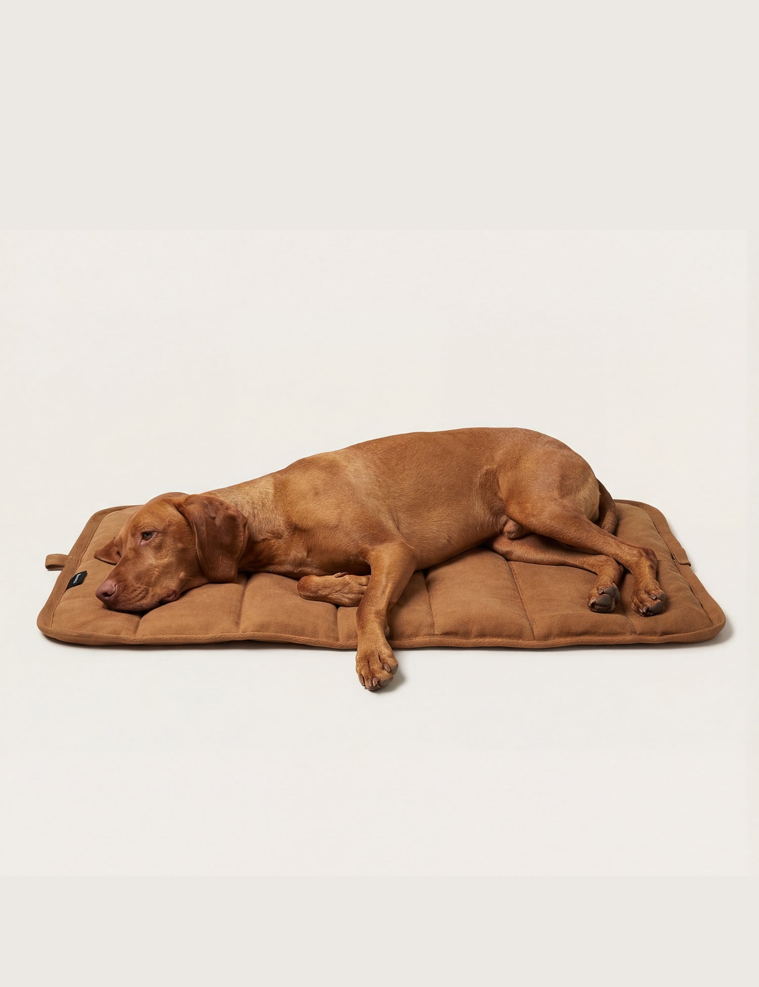 Water-Resistant Canvas Good Dog Mat – Tussock Brown