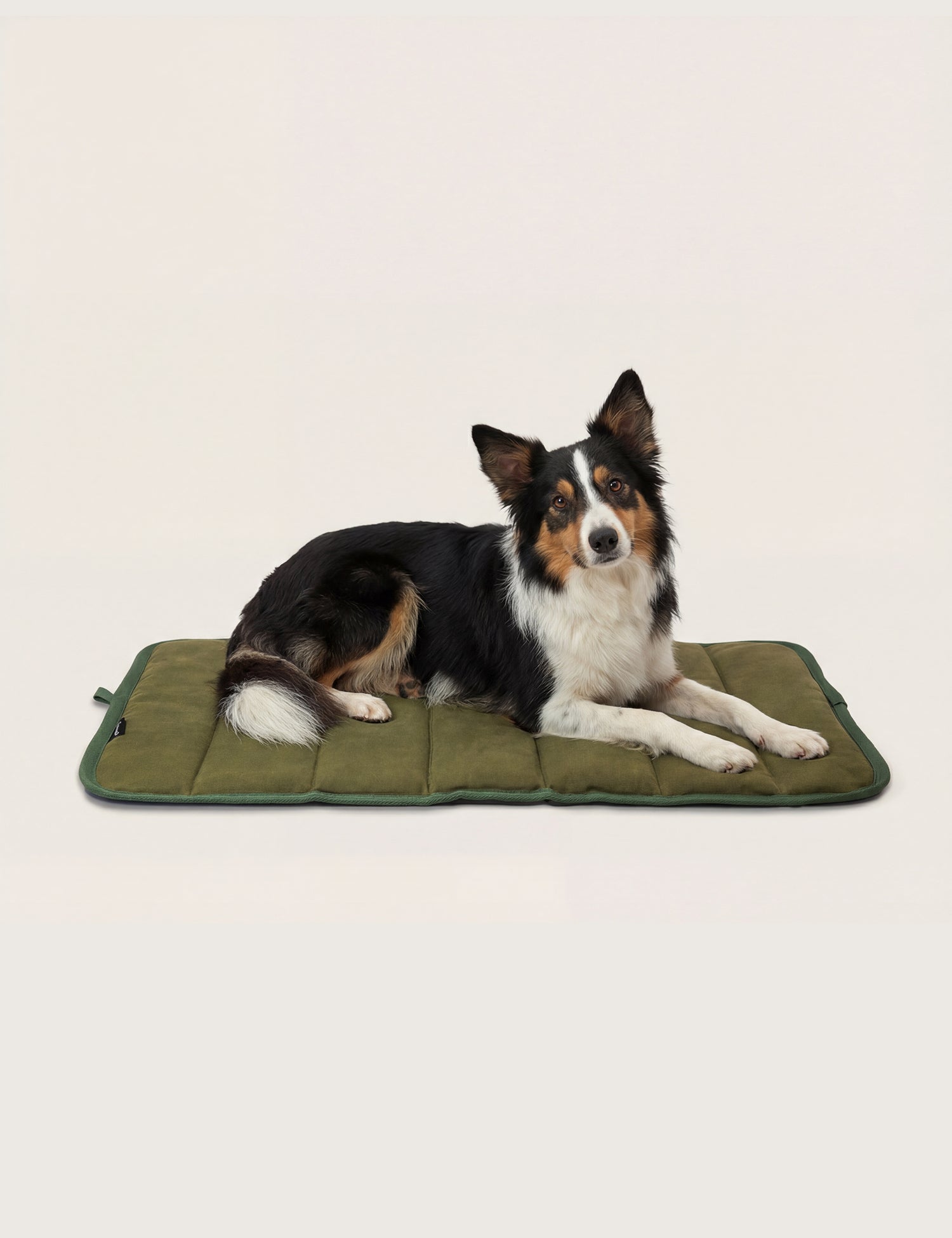 Water-Resistant Canvas Good Dog Mat – Waitākere Green