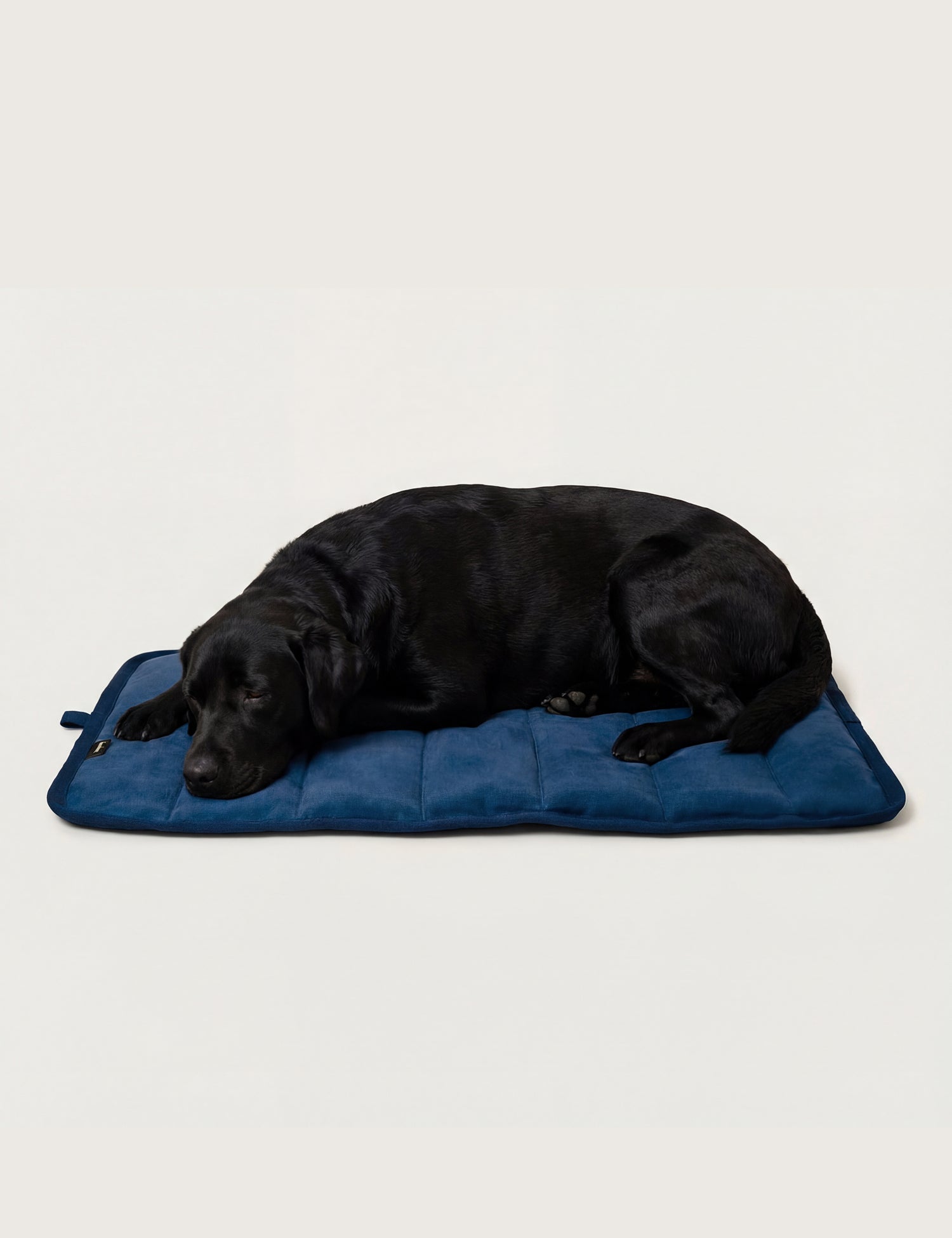 Water-Resistant Canvas Good Dog Mat – Wakatipu Blue