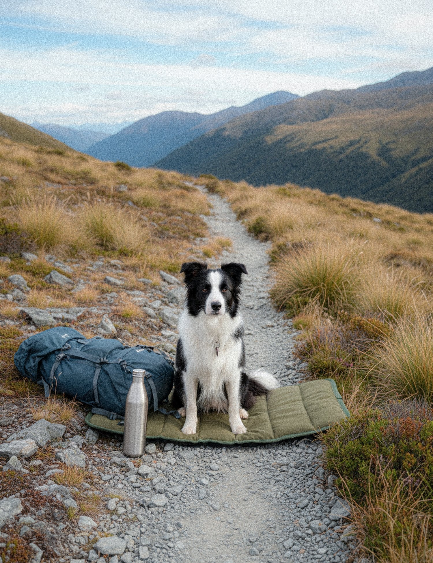 Dog sitting on a mat in a mountainous landscape with backpack and water bottle nearby.