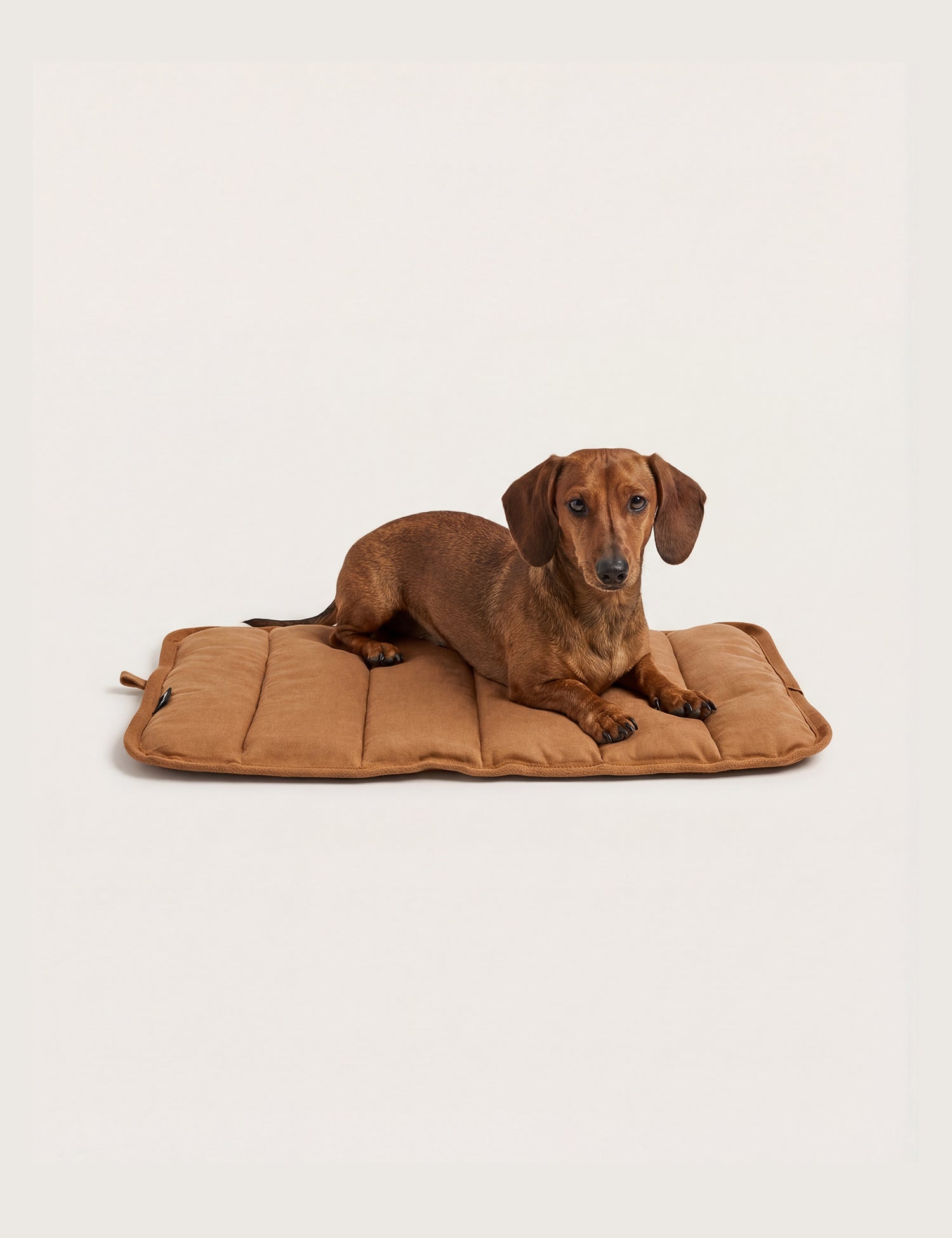 Water-Resistant Canvas Good Dog Mat – Tussock Brown