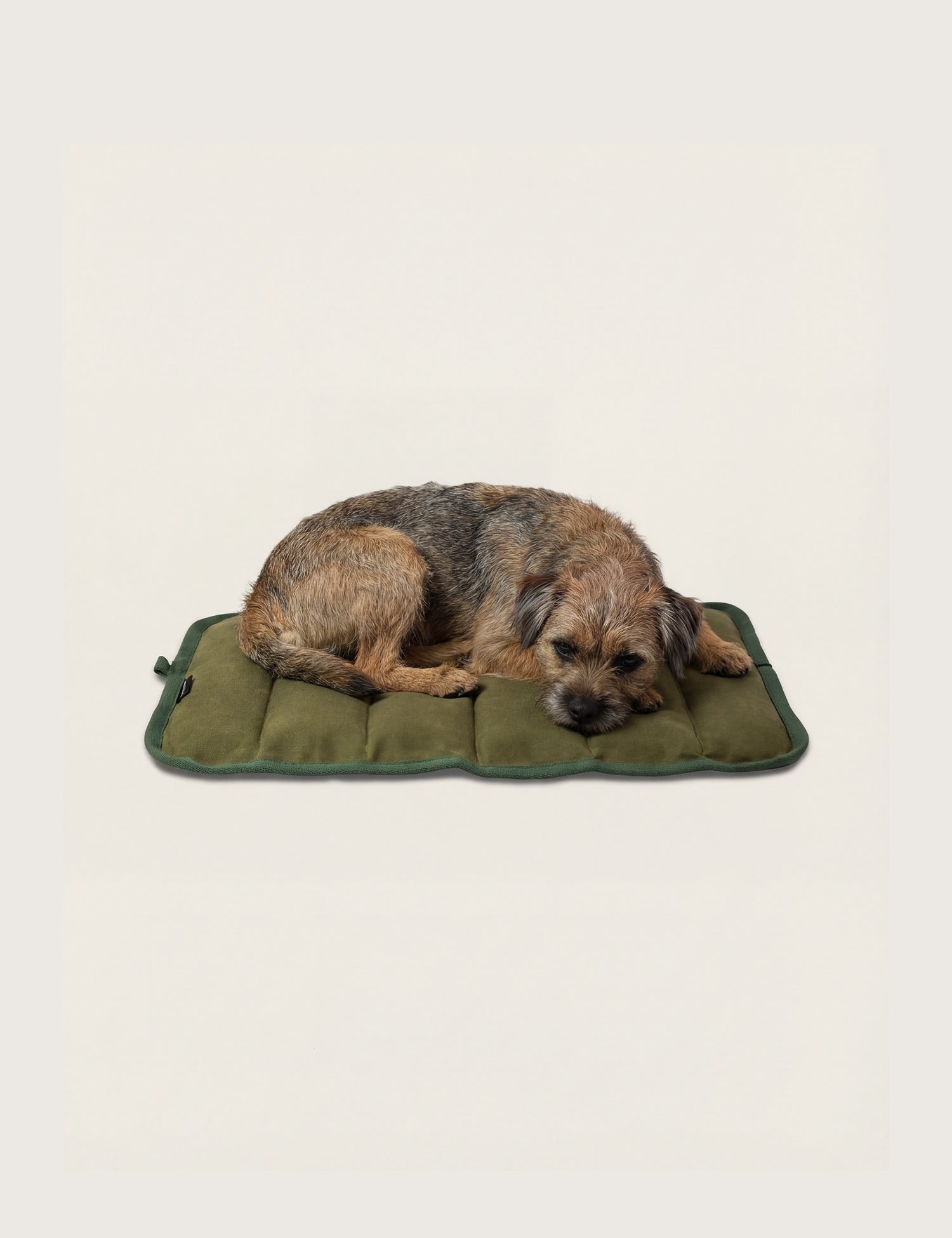 Water-Resistant Canvas Good Dog Mat – Waitākere Green