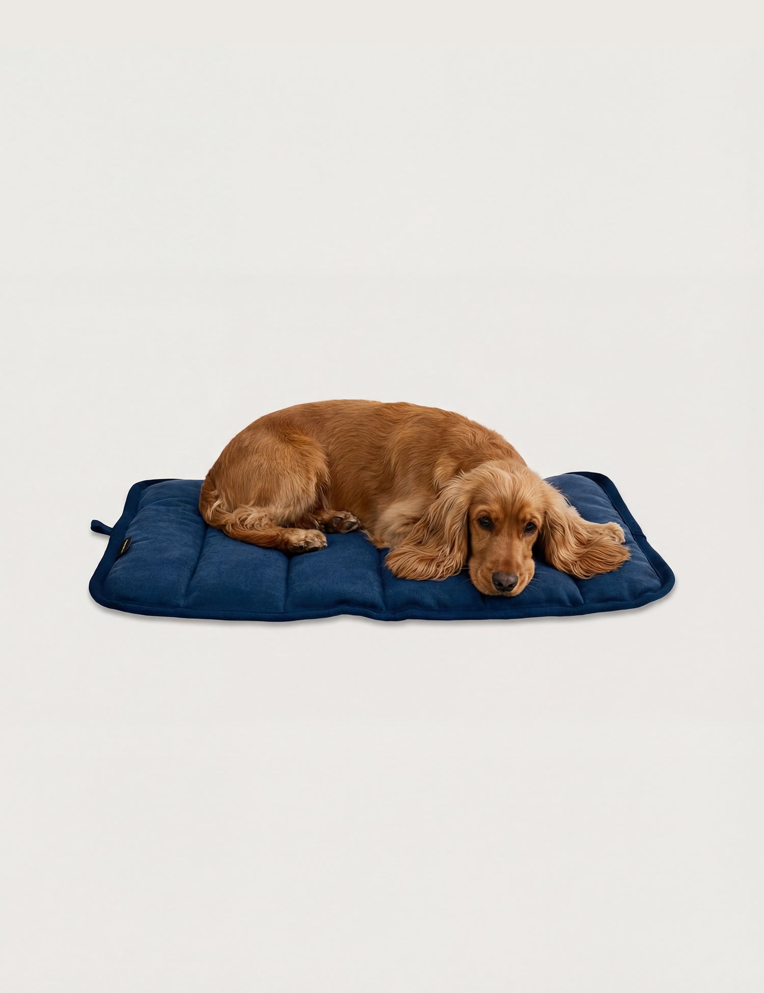 Water-Resistant Canvas Good Dog Mat – Wakatipu Blue