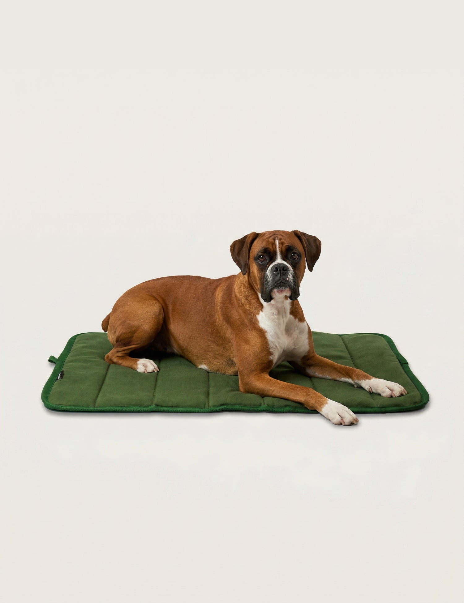 Water - Resistant Canvas Good Dog Mat – Karamea Green - Barnaby Outdoor