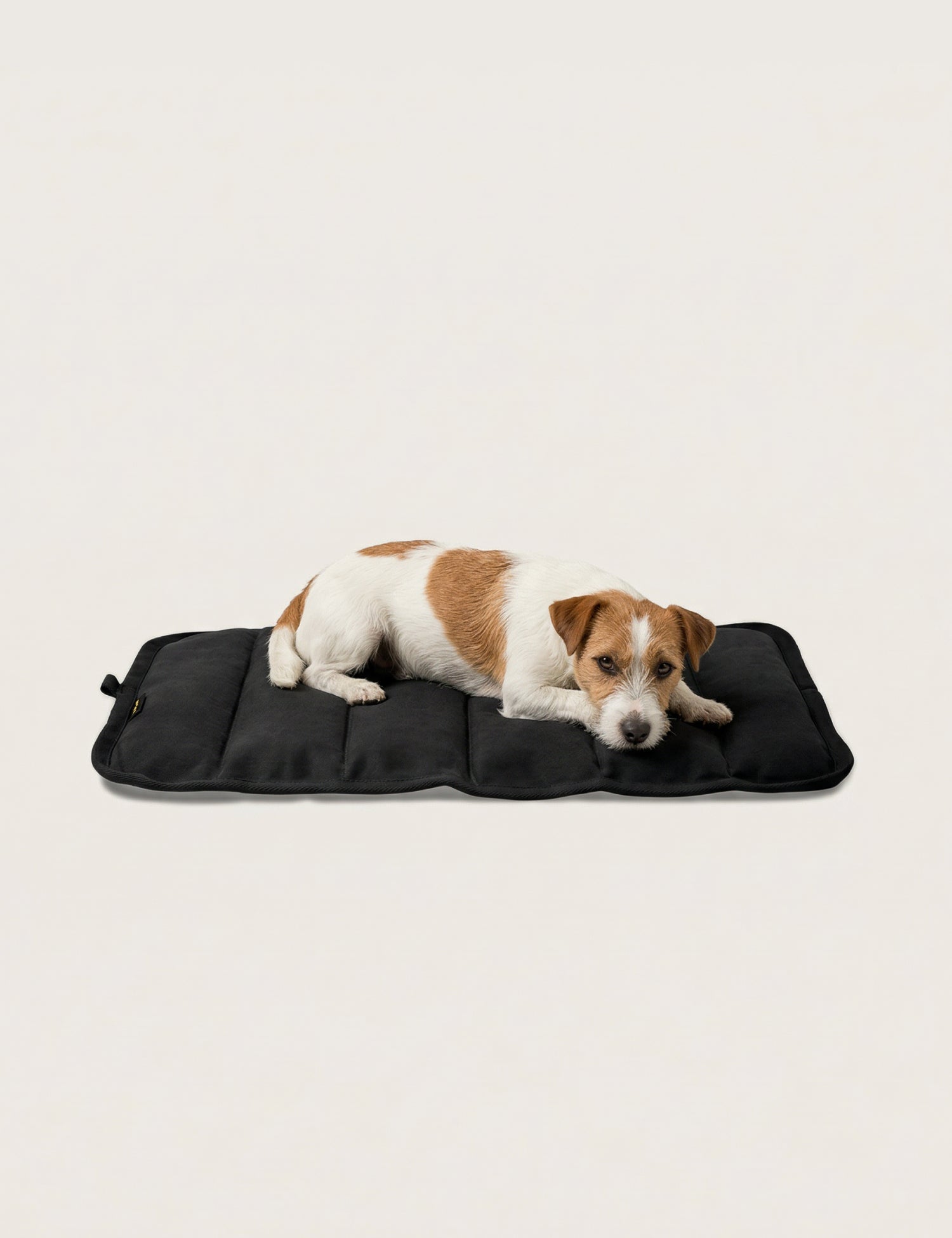 Water - Resistant Canvas Good Dog Mat – Muriwai Black - Barnaby Outdoor