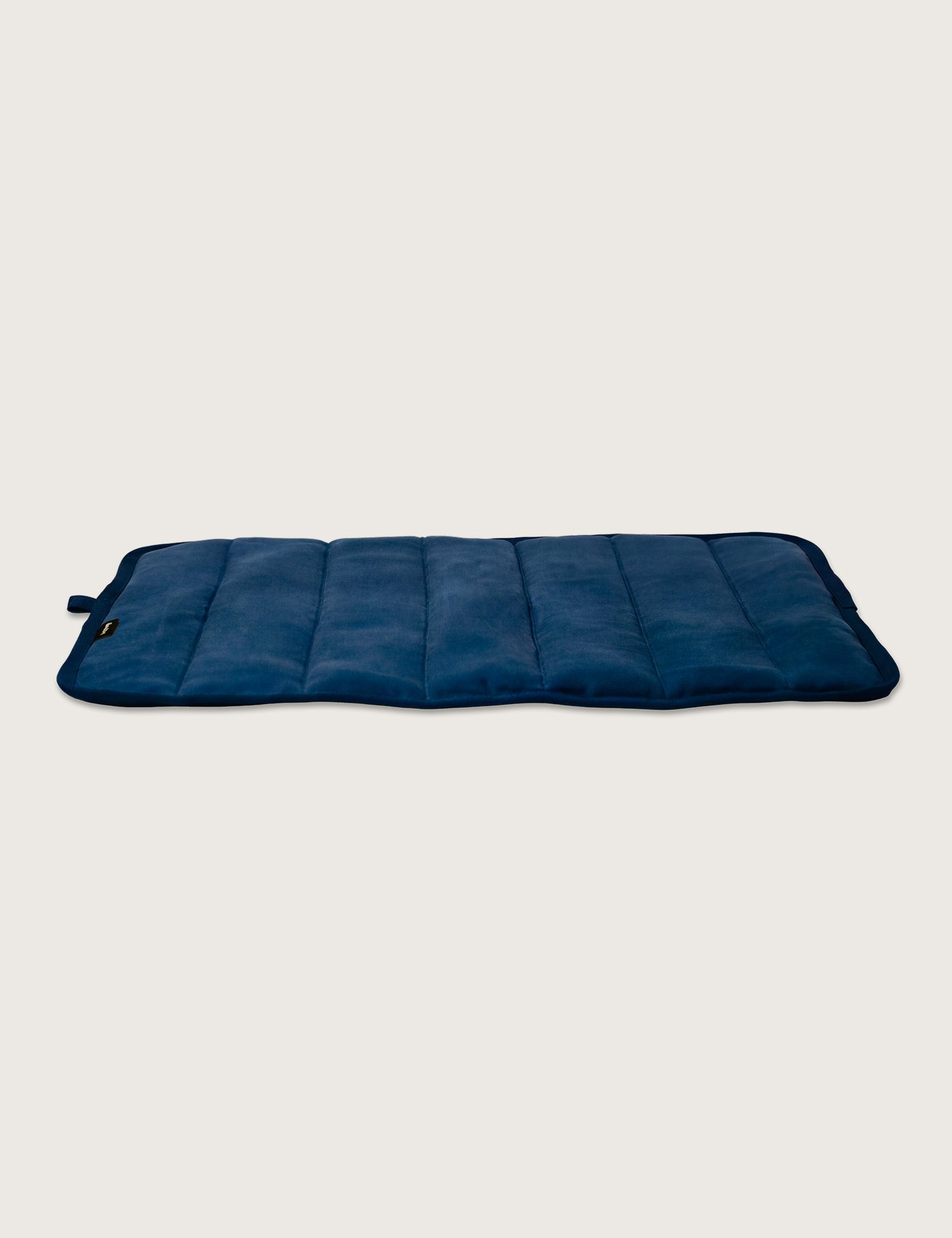 Water - Resistant Canvas Good Dog Mat – Wakatipu Blue - Barnaby Outdoor
