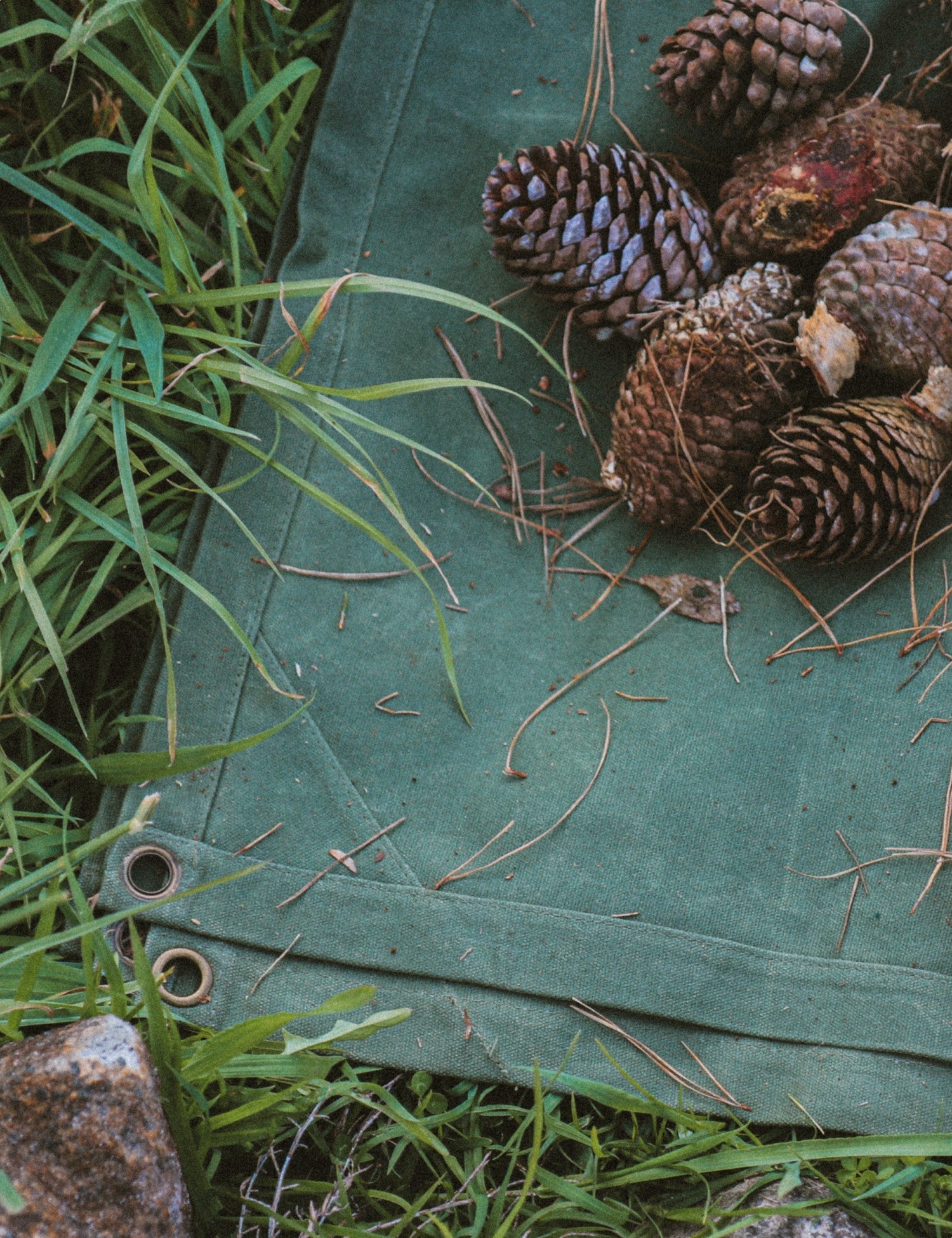 Waxed Canvas Picnic Mat - Waitākere Green - Barnaby Outdoor